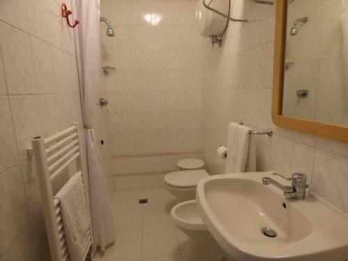 阿夏诺" Il Bersagliere " Dependance Hotel la Pace的一间带水槽、卫生间和镜子的浴室