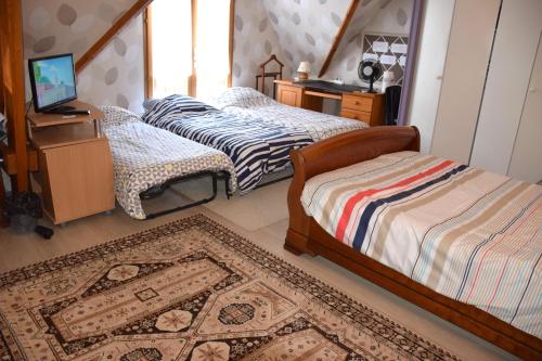 圣蒂博德维涅3 Chambres-Disneyland Paris的一间卧室配有两张床、一台电视和一张地毯。