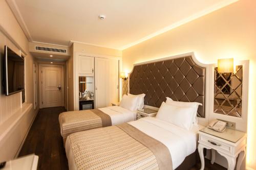 伊斯坦布尔伊斯坦布尔女士Spa酒店的酒店客房设有两张床和电视。