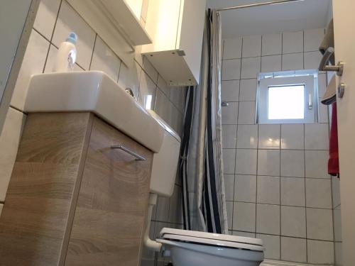 黑尔滕克瑞斯雷克林豪森赫腾公寓的浴室配有卫生间、盥洗盆和淋浴。