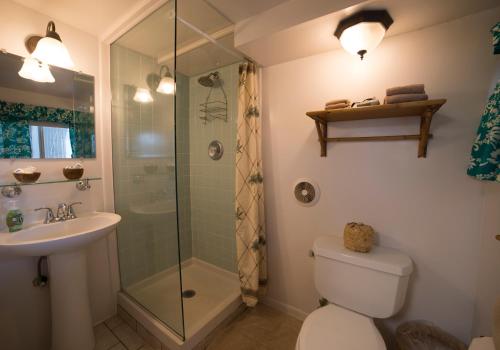 怀卢库威陆库旅馆的带淋浴、卫生间和盥洗盆的浴室