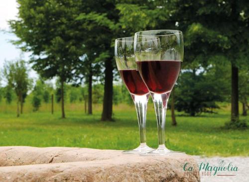特雷维索Ca'Magnolia的桌子上放两杯红葡萄酒