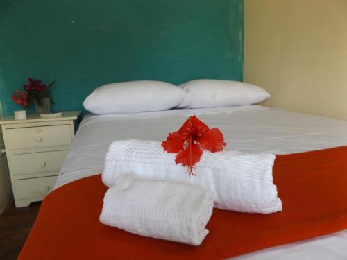 巴伦尼塔Buganvilla Guest House的一张带白色毛巾和红色花的床铺