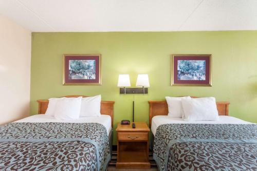 杰克逊杰克逊戴斯酒店的绿墙旅馆客房的两张床