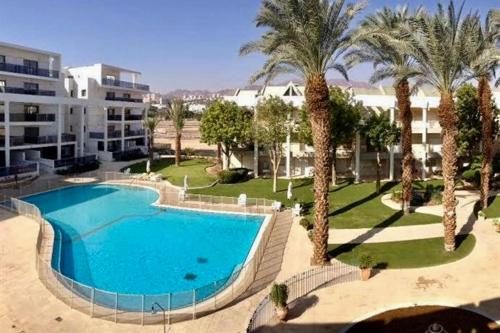 埃拉特Esterin Royal Park Apartments Eilat的一座大型游泳池,在一座建筑前种有棕榈树