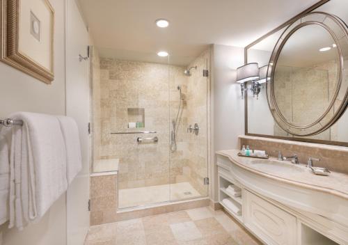 新奥尔良The Windsor Court的带淋浴、盥洗盆和镜子的浴室
