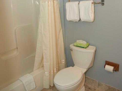 桑威奇三维治别墅度假酒店的浴室配有白色卫生间和淋浴。