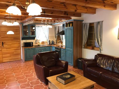 鲍道乔尼特尔代米茨Balaton Rustic Guesthouse的一间带两张真皮座椅的客厅和一间厨房
