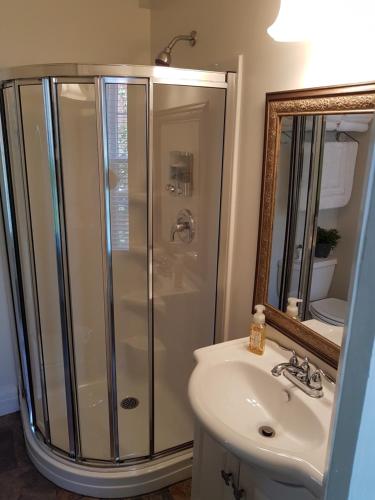 KingsvilleHellemsfield Inn & bed and breakfast的带淋浴、盥洗盆和镜子的浴室