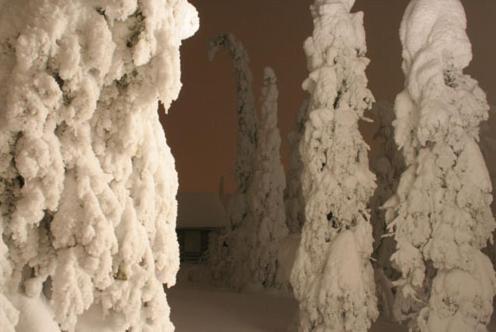 鲁卡凯鲁科多小木屋酒店的覆盖着雪覆盖的树的墙