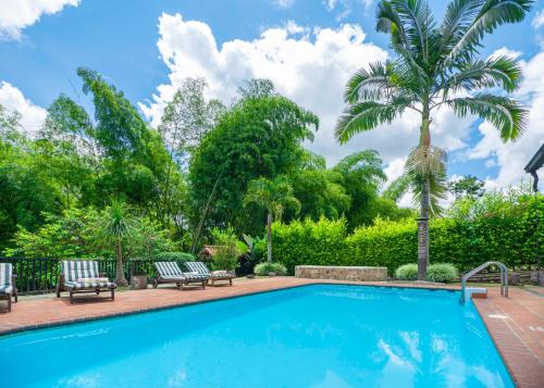 金巴亚Finca Villa Gregory的一个带两把椅子的游泳池,一个棕榈树