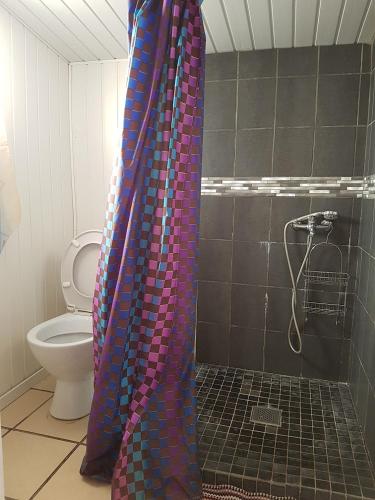 锡拉奥Le Moutardier 2的设有带卫生间的浴室内的淋浴帘