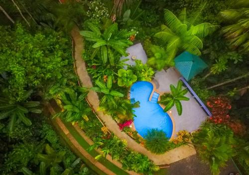 奥霍查尔Villas en el Bosque的一座拥有树木和游泳池的度假村的模型