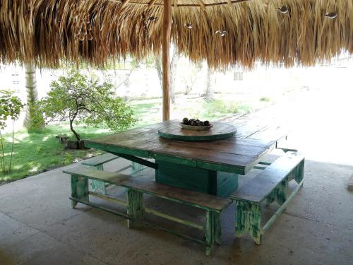 托卢Costa de Vikingos的一张野餐桌,上面放着一碗水果