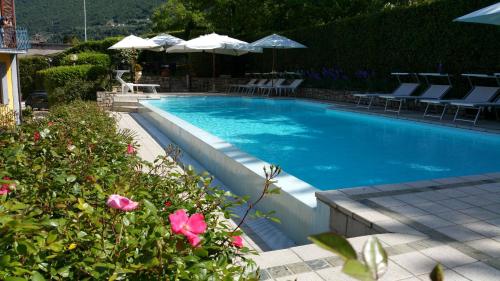 萨莱马拉西诺金希卡别墅酒店的游泳池配有椅子、遮阳伞和粉红色的鲜花