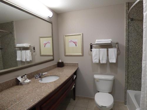 彭萨科拉彭萨科拉西卡尔森江山旅馆&套房酒店的一间带水槽、卫生间和镜子的浴室