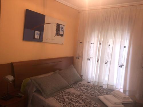 萨拉戈萨Piso Avenida de Madrid的一间卧室配有床和白色窗帘的窗户