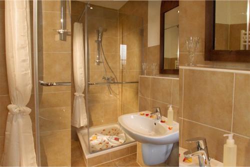 宾茨韦希特尔滨兹酒店的一间带水槽和淋浴的浴室
