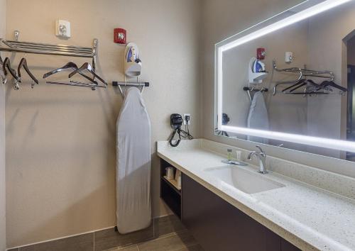 Econo Lodge Inn & Suites Houston NW-Cy-Fair的一间浴室