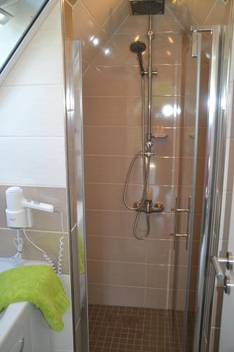 沙普罗德Radlerwohnung bei Familie Saupe的浴室里设有玻璃门淋浴