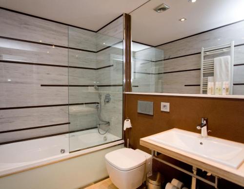 坎普德瓦诺尔瑟奇亚莫利纳尔酒店的带淋浴、卫生间和盥洗盆的浴室