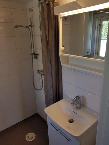 ÅkeröToppstugan的浴室配有盥洗盆和带镜子的淋浴