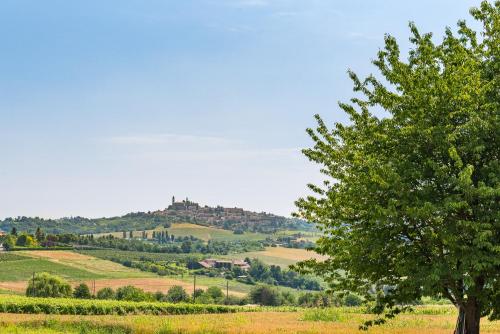VignaleBelcasale的山丘上一座城堡的田野中的一棵树