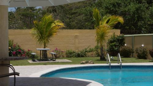 CanaanDriftwood 85的棕榈树庭院内的游泳池