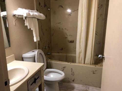 派恩布拉夫Briarwood Inn的浴室配有卫生间、盥洗盆和淋浴。