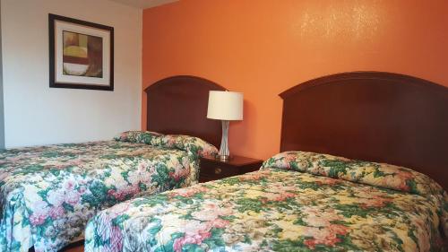 蒙特卡洛汽车旅馆客房内的一张或多张床位