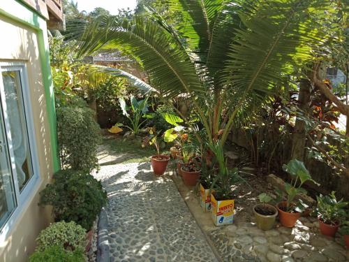 圣维森特Glorias Green House的种有植物和棕榈树的花园