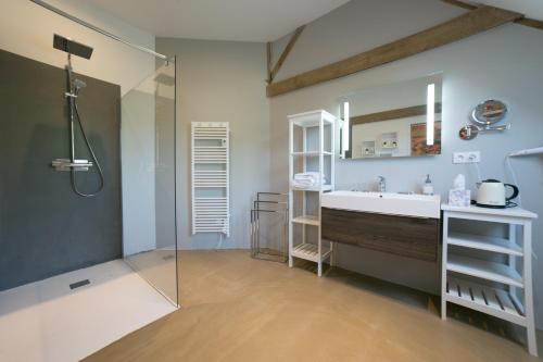 Grand-ChampLes Dames de Nage的带淋浴、盥洗盆和镜子的浴室