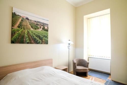 布达佩斯Régiposta street- City Center的卧室配有一张床,享有葡萄园的景色