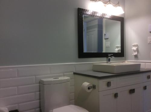 圣多纳特蒙卡尔姆Condo Lac Archambault 298的一间带卫生间、水槽和镜子的浴室