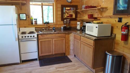 塔尔基特纳Talkeetna Fireweed Cabins的厨房配有白色冰箱和白色微波炉