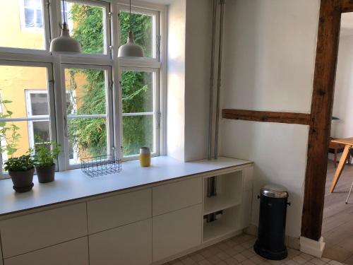 哥本哈根K10 Apartments的带2扇窗户的柜台的厨房