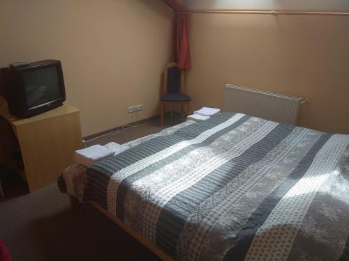 琼格拉德Hubertus Panzió的一间卧室配有一张床和电视