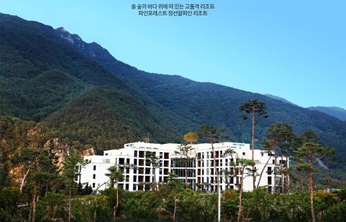 旌善Pine Forest Jeongseon Alpine Resort的山中一座白色的大建筑