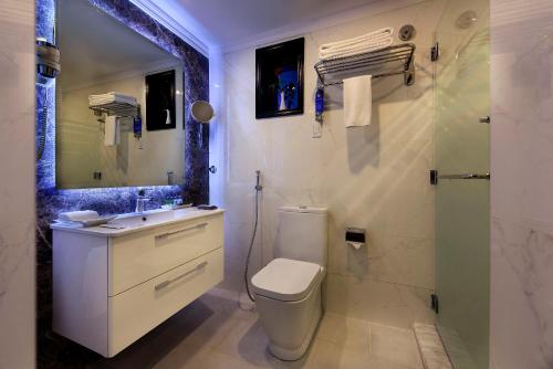 奥朱贝尔克罗尔朱拜勒酒店的浴室配有卫生间、盥洗盆和淋浴。
