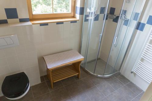 亚沃尔尼克Holiday Villa Javornik的带淋浴、凳子和卫生间的浴室