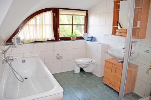 格洛韦Ferienreethaus mit Kamin und Sauna的带浴缸、卫生间和盥洗盆的浴室
