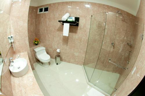 卡塔赫纳大西洋勒克斯酒店的一间带卫生间和玻璃淋浴间的浴室
