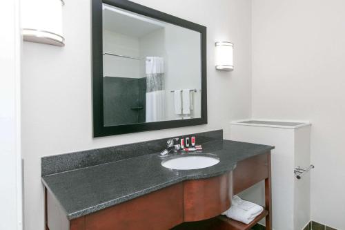 麦库姆麦库姆贝蒙特温德姆酒店的一间带水槽和镜子的浴室