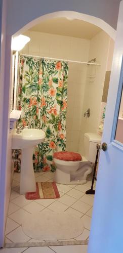 自由港市Bajamar Your Second Home Guest Property的带淋浴、卫生间和盥洗盆的浴室