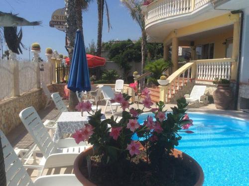 吉泽里亚克里达酒店及餐厅的一个带椅子和盆栽的庭院,毗邻游泳池