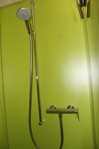 EbnatChalet Nueschwendi的带淋浴的浴室,设有绿色的墙壁