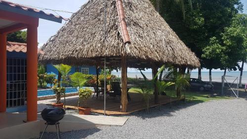 Puerto ArmuellesSunrise Inn的草屋顶的小屋,里面种有植物