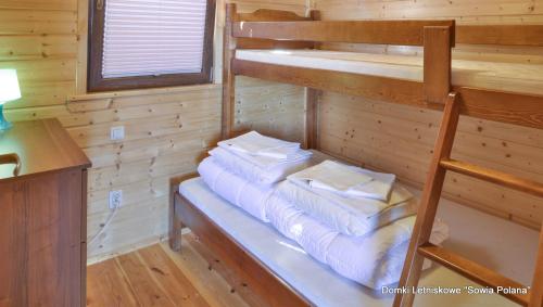达布基Domki Sowia Polana的小屋内带两张双层床的客房