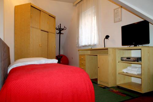 奥西耶克Domin Osijek的一间卧室配有一张床和一台平面电视