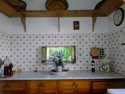 Nunziata的厨房或小厨房